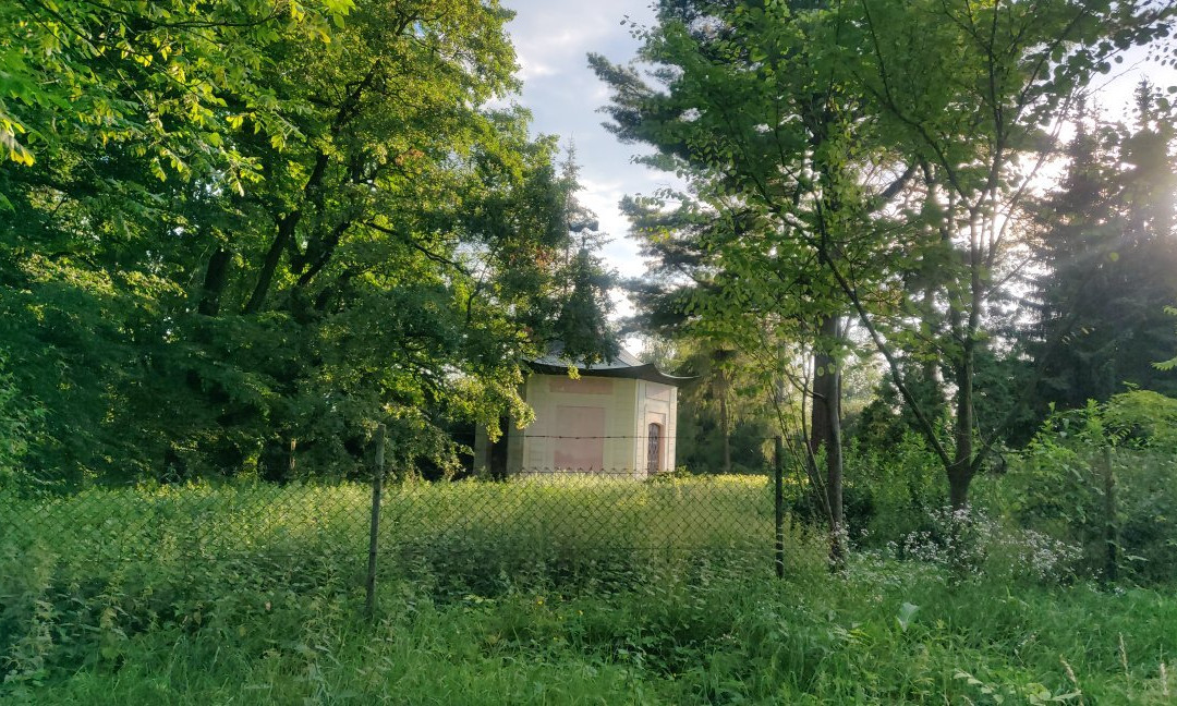 Park Czartoryskich景点图片