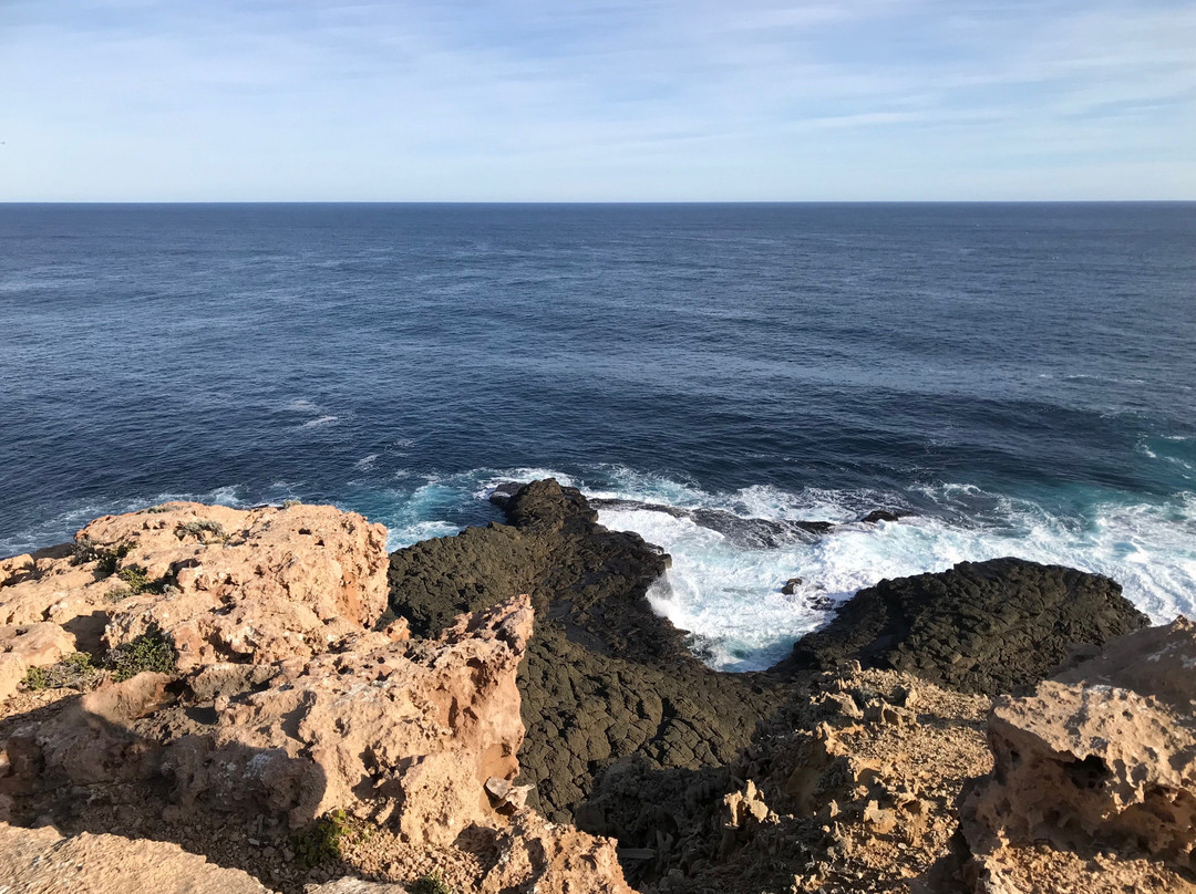 Cape Nelson State Park-波特兰必去景点