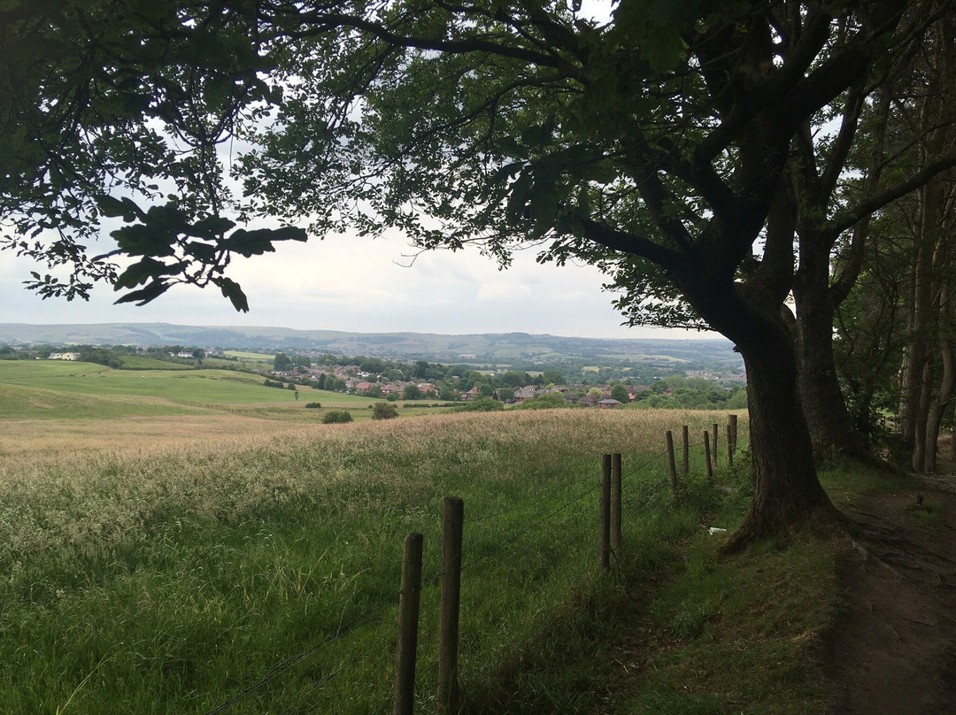 Tandle Hill Country Park景点图片