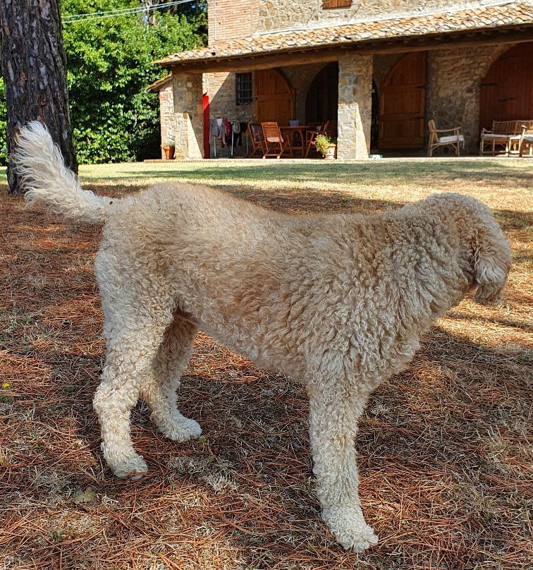 Casa Vacanze Benestare