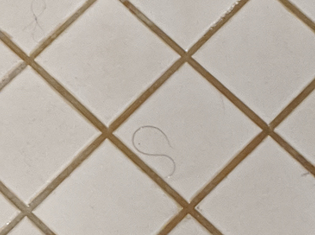 铂尔曼广场酒店主图