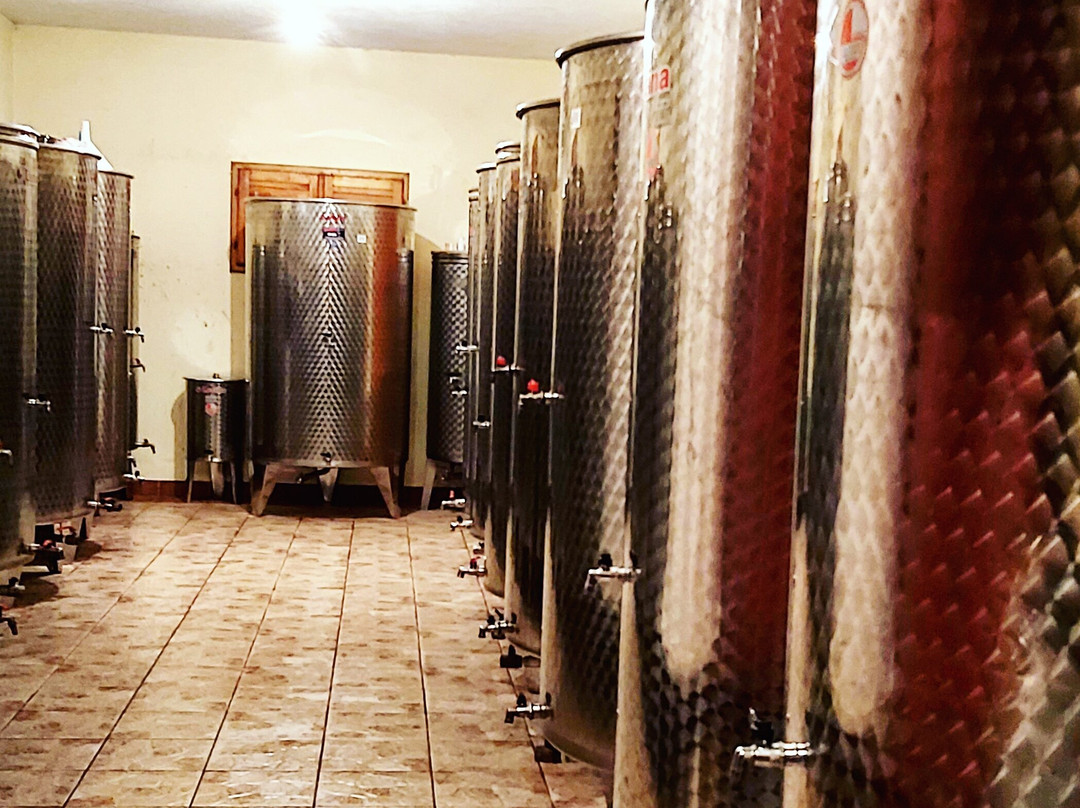 Winery Bojanic景点图片