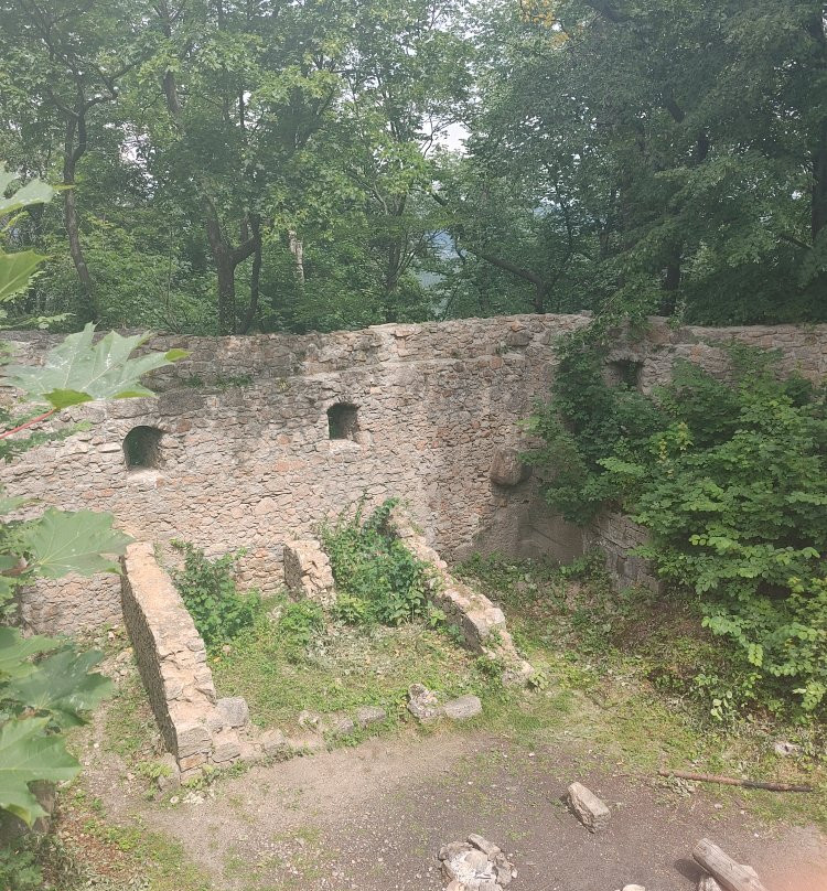 Bolczow Castle景点图片