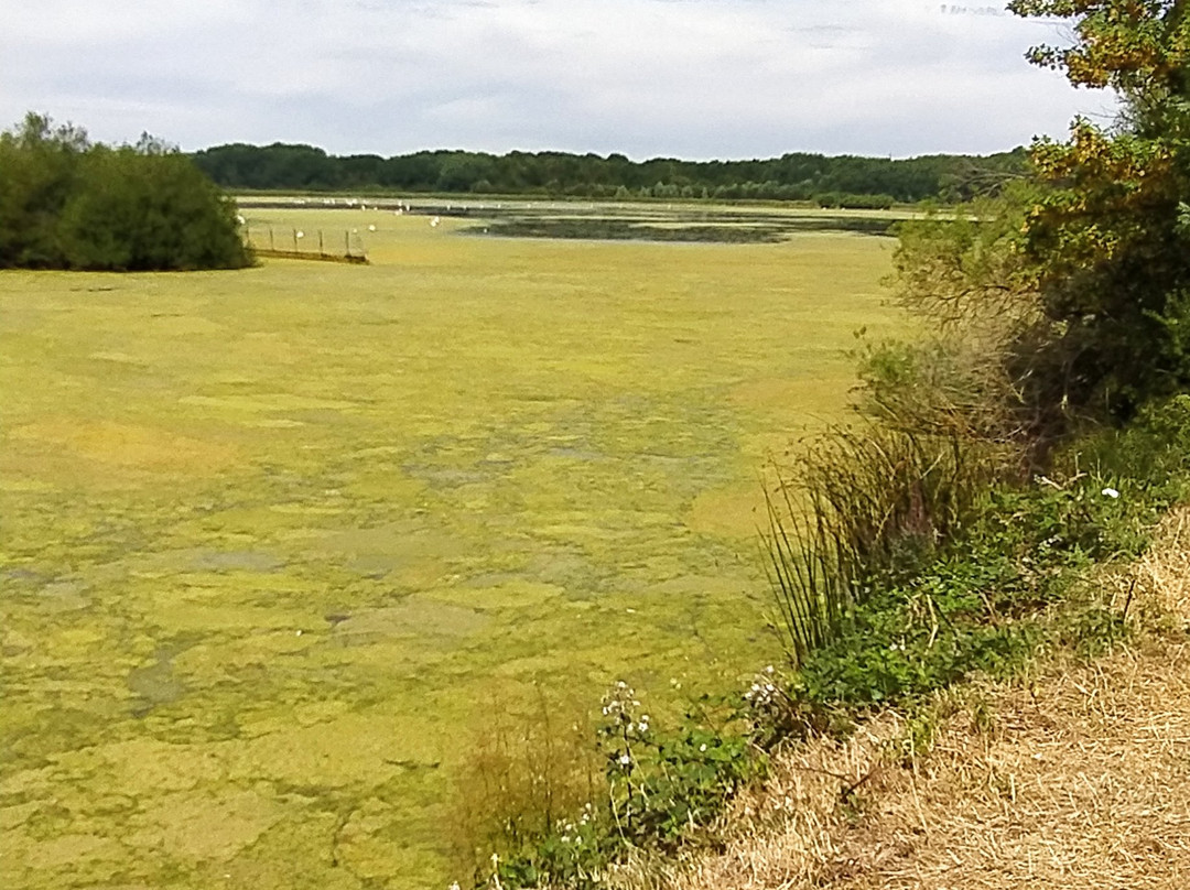 Ile de Loisirs de Saint-Quentin-en-Yvelines景点图片