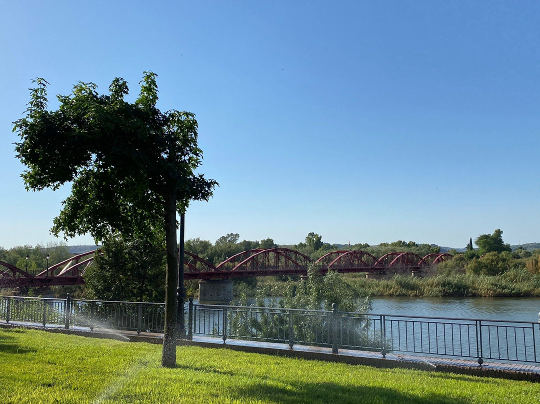 Puente de Hierro-塔拉韦拉-德拉雷纳必去景点