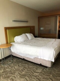SpringHill Suites by Marriott Detroit Auburn Hills主图