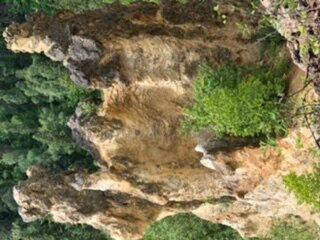 Pinnacles Provincial Park景点图片