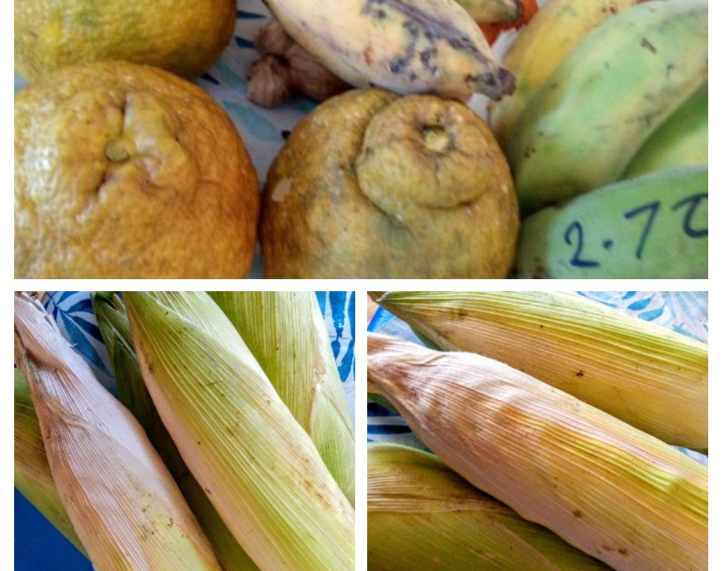 Malanda Markets-马兰达必去景点