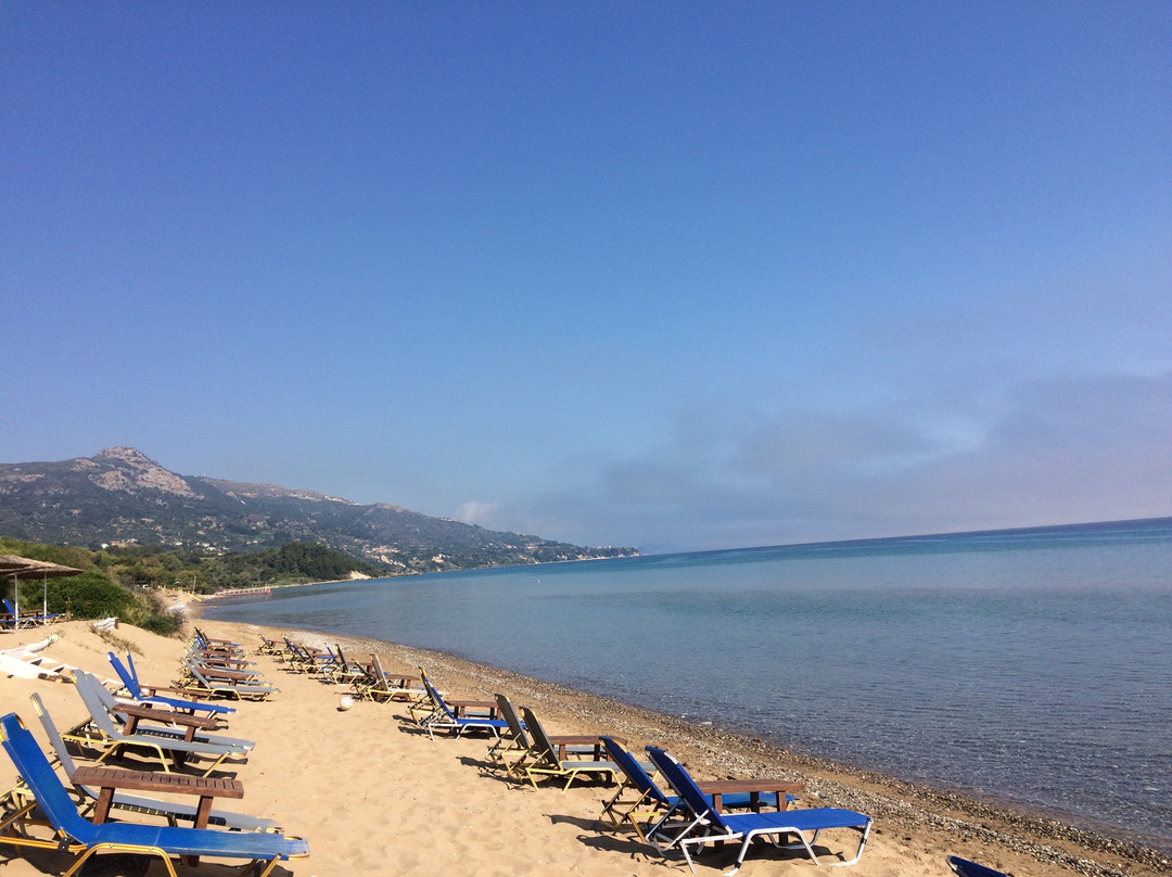 Arion Green Riviera主图