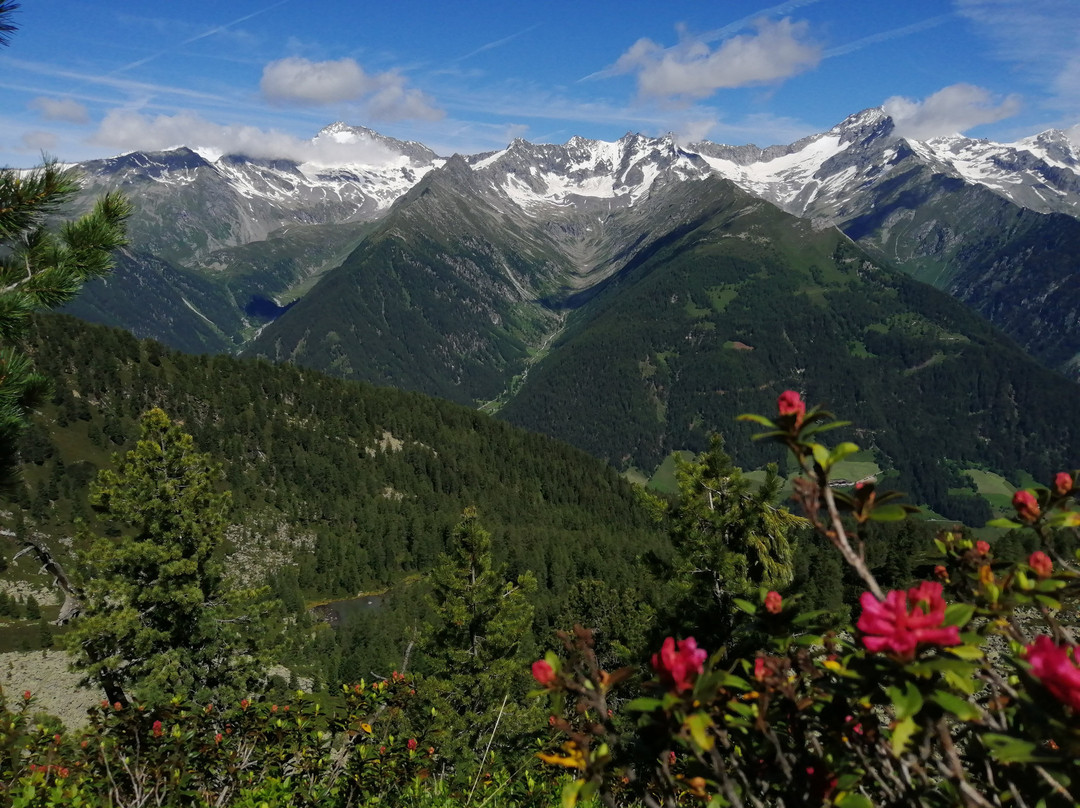 Alphotel Stocker主图