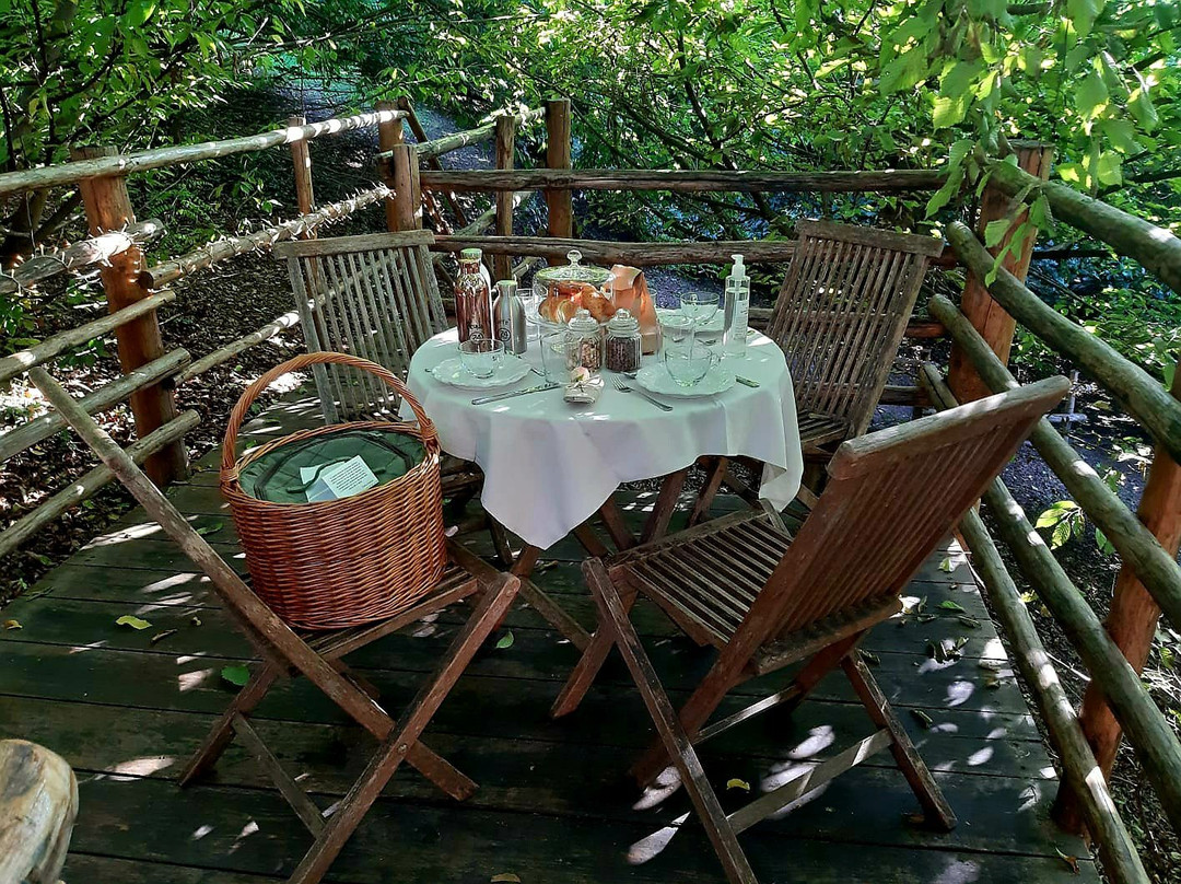 Bed and Breakfast Il Giardino dei Semplici主图