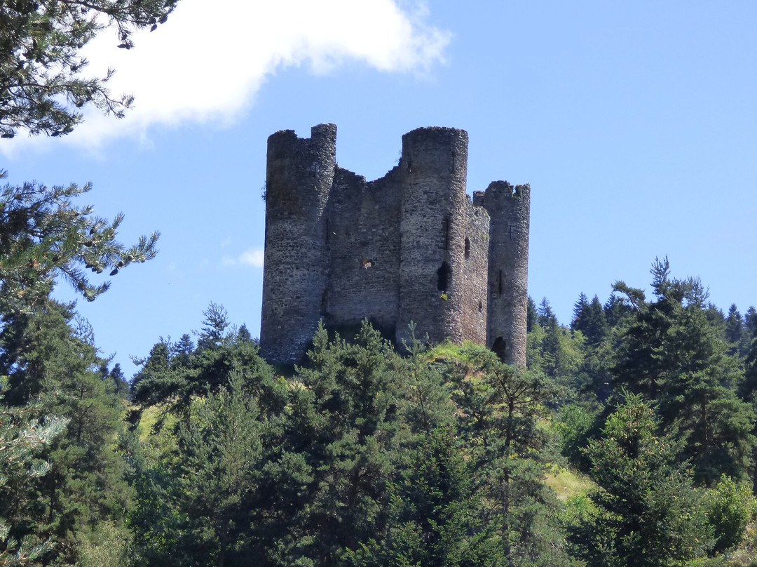 Chateau d'Alleuze-Alleuze必去景点