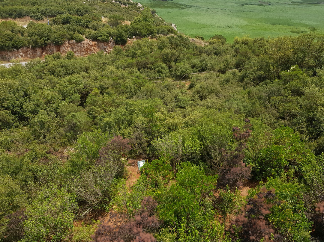 Lake Stymphalia-科林斯必去景点