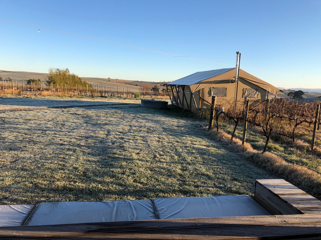 Nashdale Lane Wines & Cellar Door景点图片