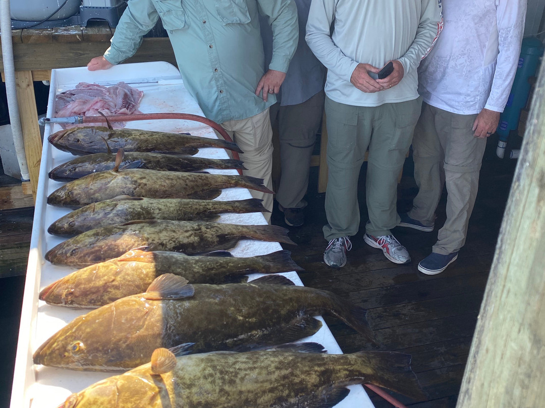 Florida Fishing Adventures-克里斯特尔里弗必去景点