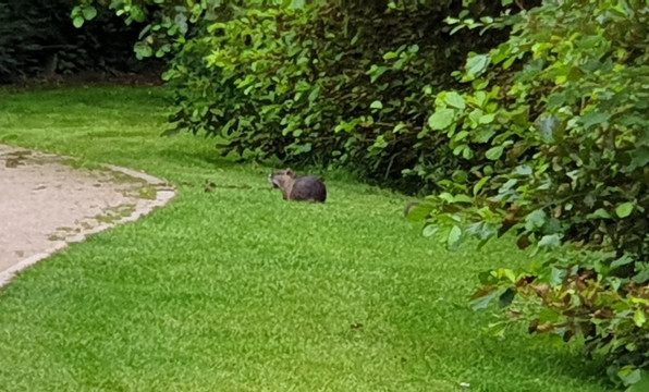 Comberg Park-Mettmann必去景点