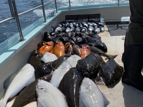 Hill Norvell Fishing-苏厄德必去景点