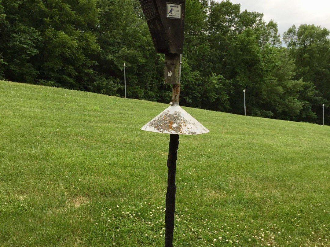 Mill Creek Streamway Park-Shawnee必去景点