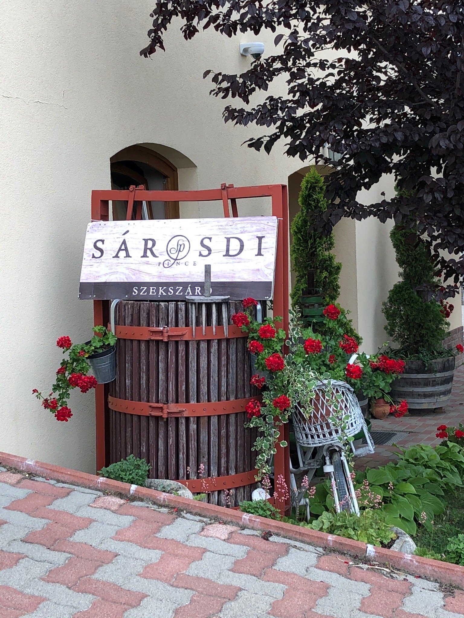 Sarosdi Pince es Panzio-官方