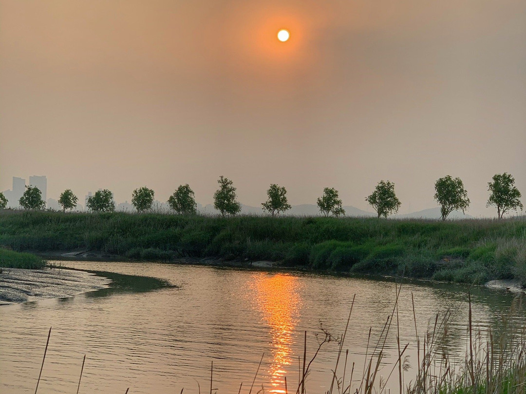 Gaetgol Eco Park-始兴市必去景点
