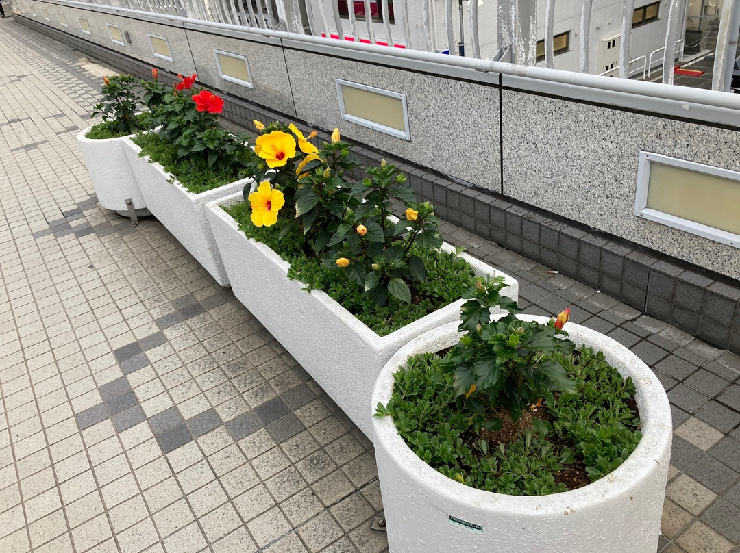 Ito-Yokado Ageo Ekimae-上尾市必去景点