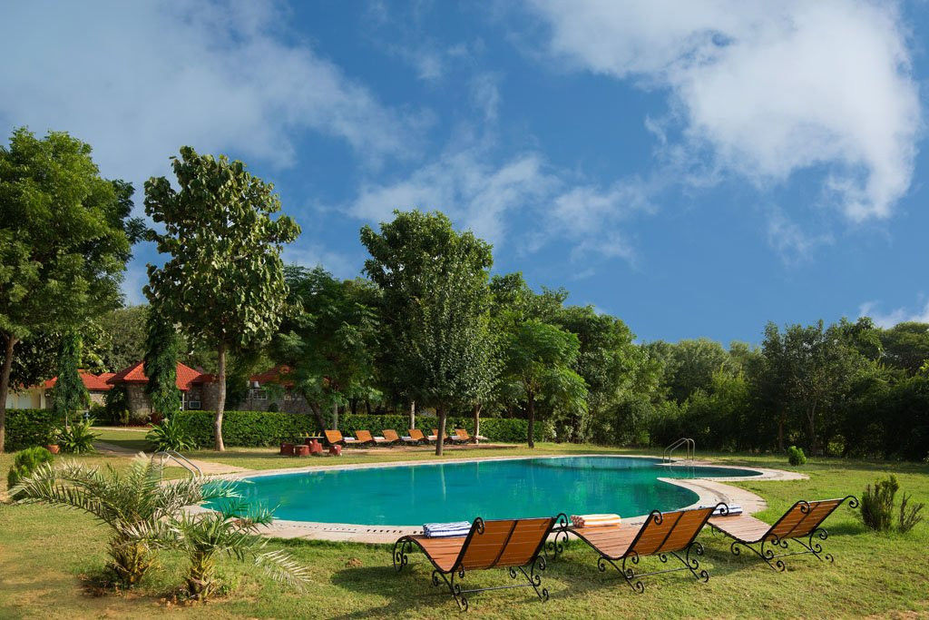 Sariska Tiger Heaven主图