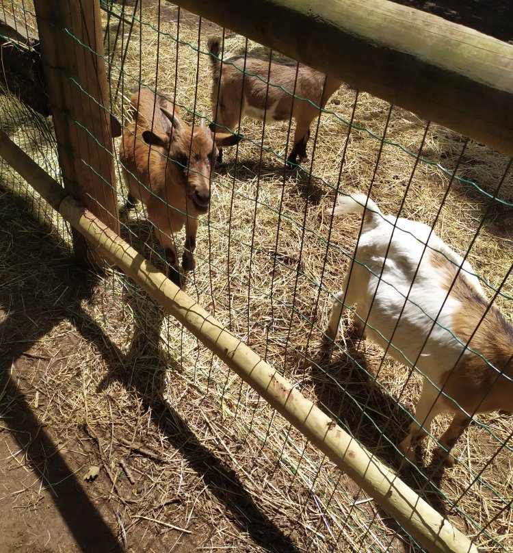 Parc le Theil-Le Caylar必去景点