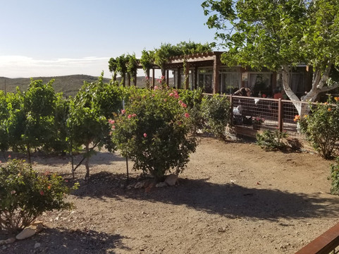 Charron Vineyards & Winery-Vail必去景点