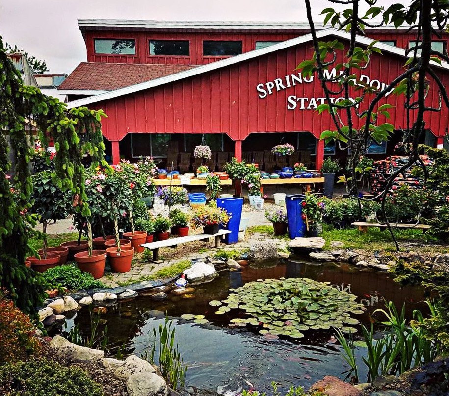 Hampstead旅游景点-Spring Meadow Station Farm Zoo