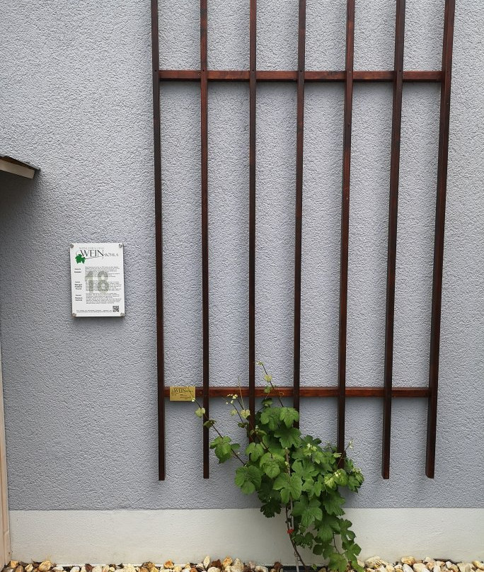 Pension Kalinde主图