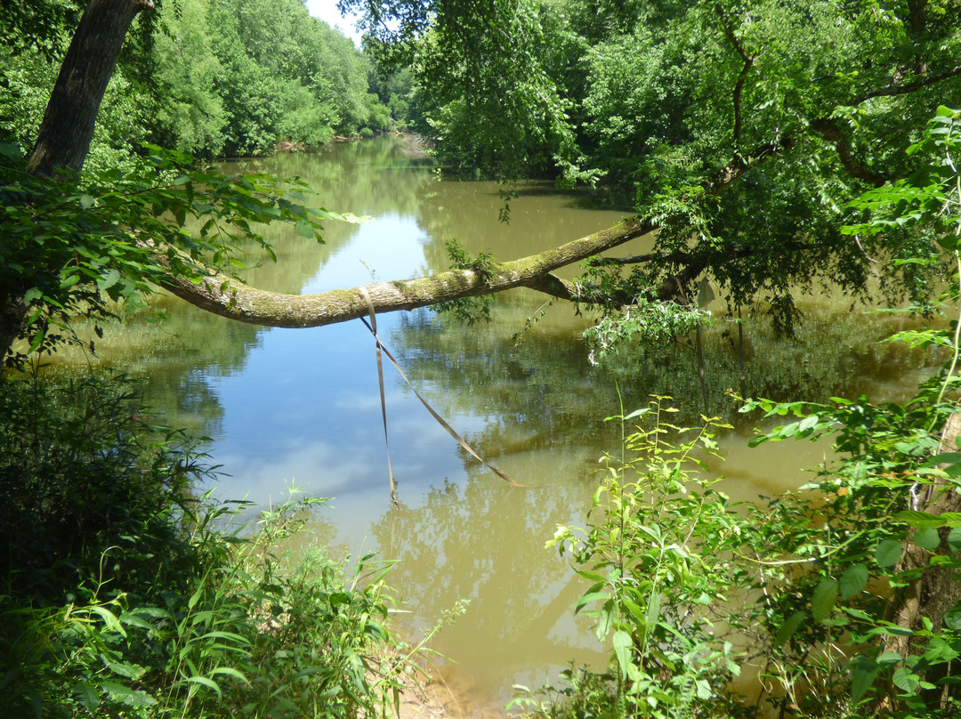 Cedar Falls Park景点图片