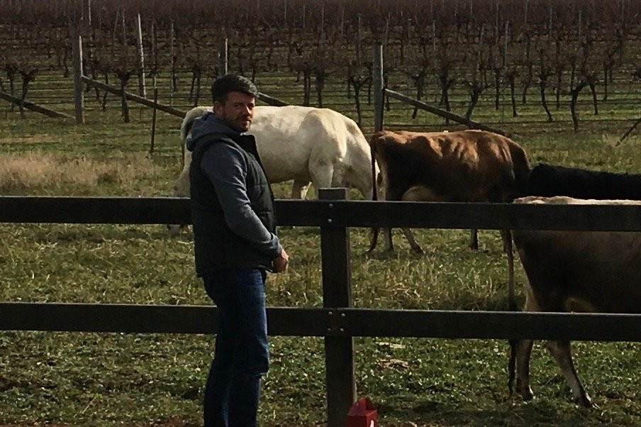 Highland Vines-鲍勒尔必去景点