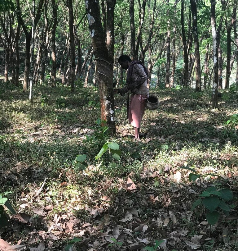 Rose Gardens Tours and Travels-慕那尔必去景点