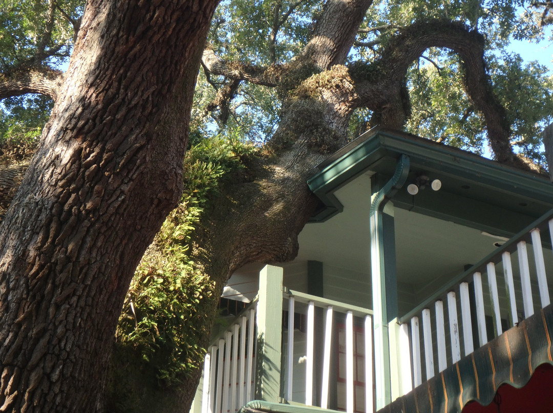 Florida House Inn主图