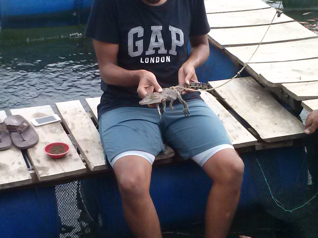 Madu River Safari by Buddhi-巴拉碧提雅必去景点