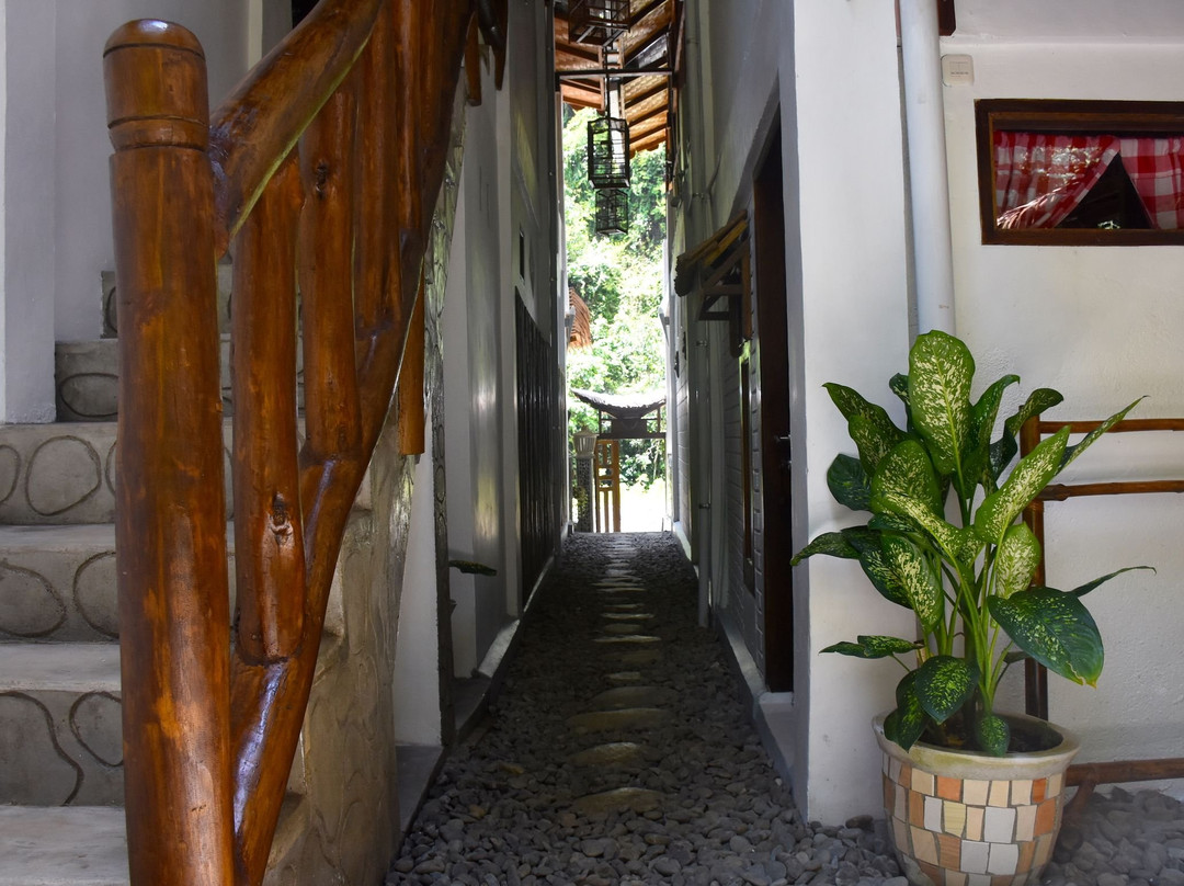 The Hangout@ EcoTravel主图