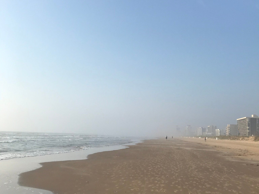 South Padre Island Beach-南帕诸岛必去景点
