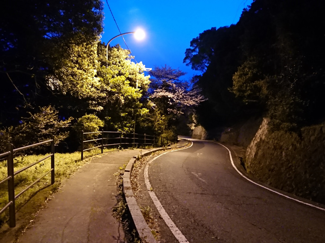 Mekari Park-北九州市必去景点