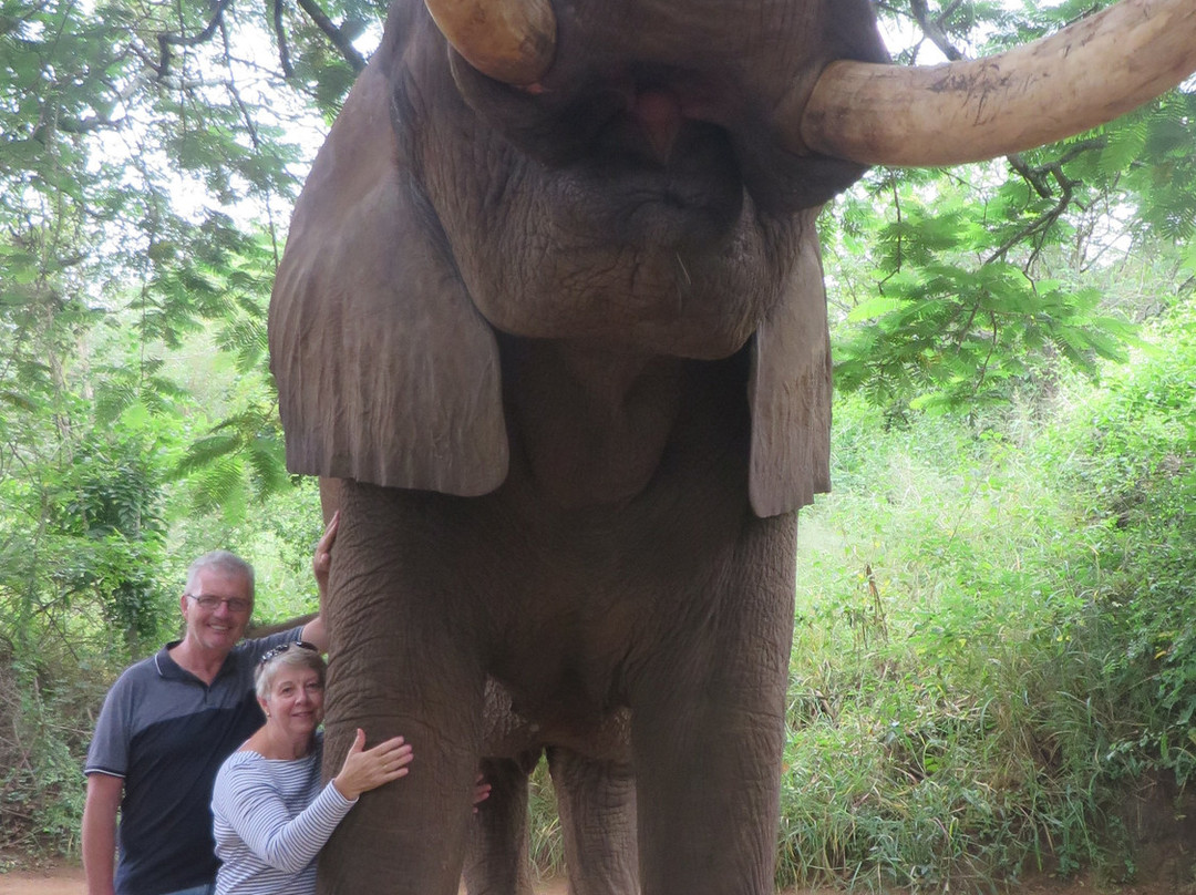 Go Touch Down Travel and Tours-萨拉索塔必去景点