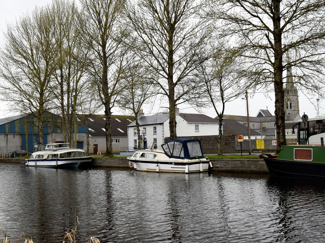 Offaly Grand Canal Greenway景点图片