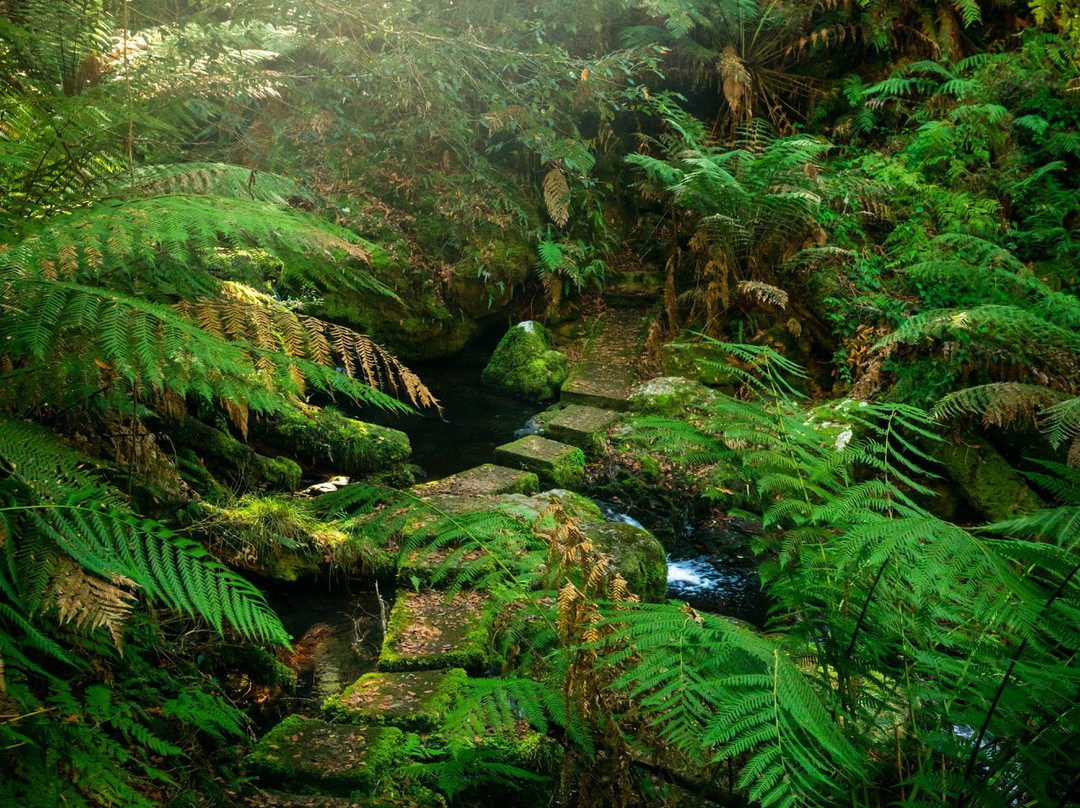 Gloucester Tops Trail景点图片