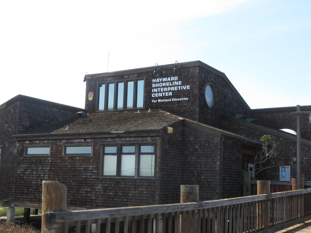 Hayward Shoreline Interpretive Center-海沃德必去景点
