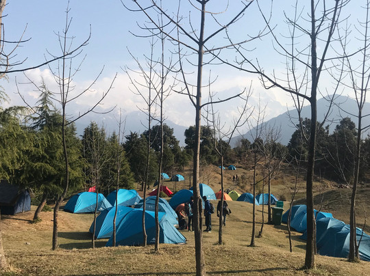 Rewild India-里希克虚必去景点