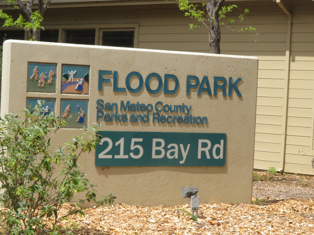 Flood Park景点图片