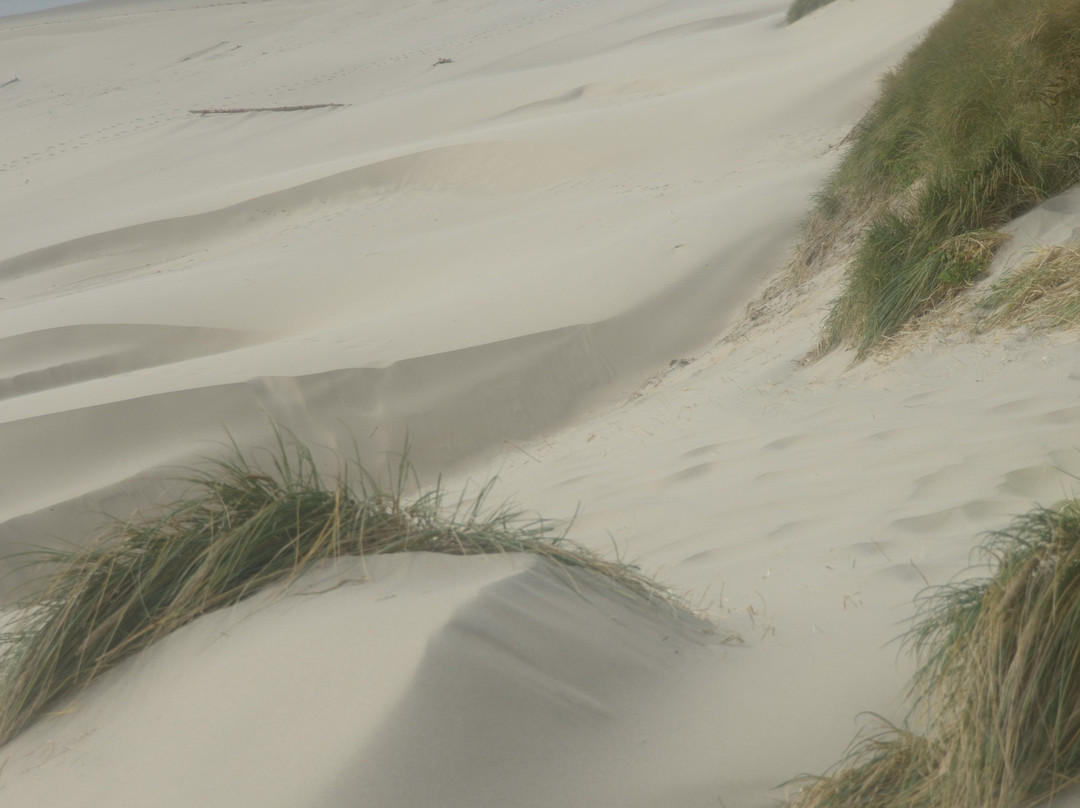 South Jetty County Park-弗洛伦斯必去景点