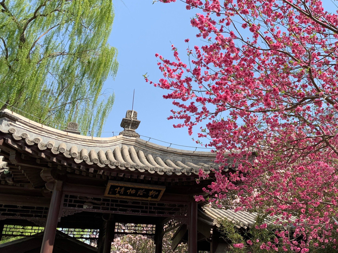 紫竹院公园-北京市必去景点