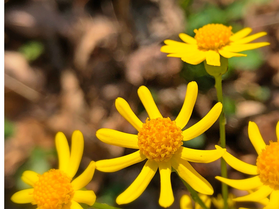 Fall Hollow Falls-Hohenwald必去景点