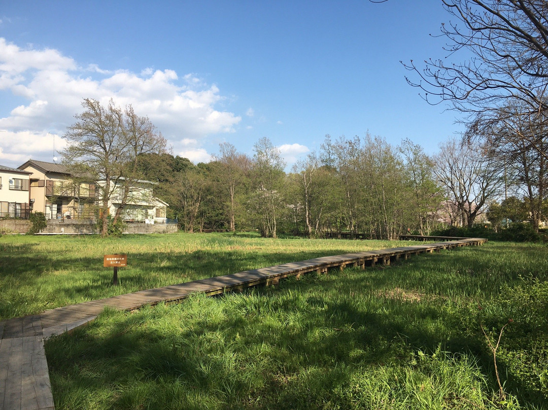 Yagawa Ryokuchi Park-立川市必去景点