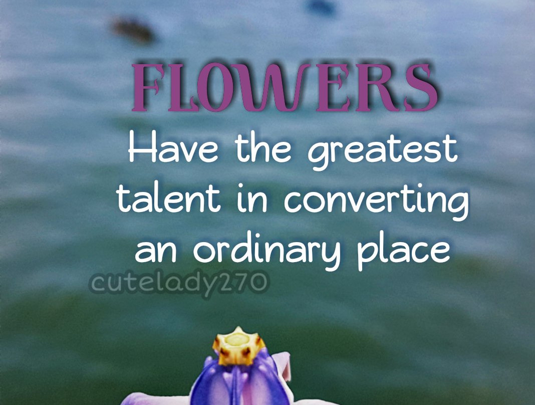 Trincomalee Harbour-Trincomalee必去景点