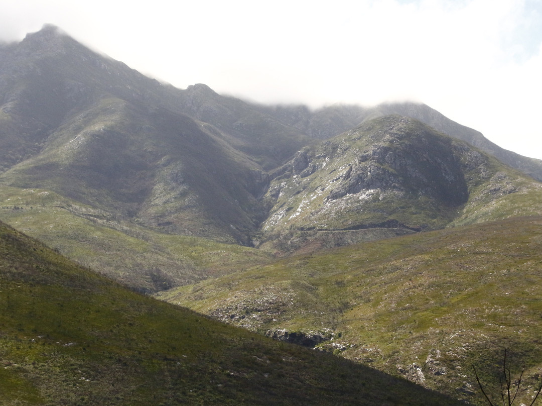 Golden Lion Adventures-Sedgefield必去景点